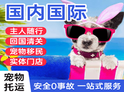 昌都邦达航空运输国际宠物托运 【国